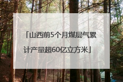 山西前5个月煤层气累计产量超60亿立方米