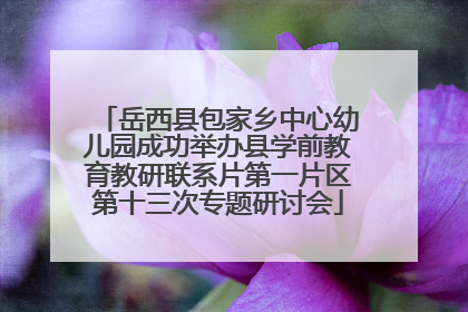 岳西县包家乡中心幼儿园成功举办县学前教育教研联系片第一片区第十三次专题研讨会