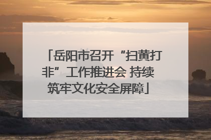 岳阳市召开“扫黄打非”工作推进会 持续筑牢文化安全屏障