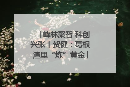峰林聚智 科创兴张丨贺健：葛根渣里“炼”黄金