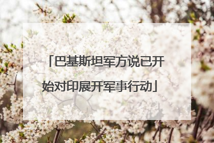 巴基斯坦军方说已开始对印展开军事行动