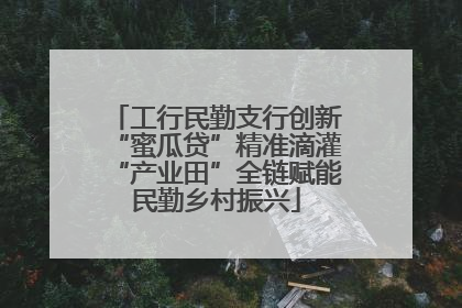 工行民勤支行创新“蜜瓜贷”精准滴灌“产业田”全链赋能民勤乡村振兴