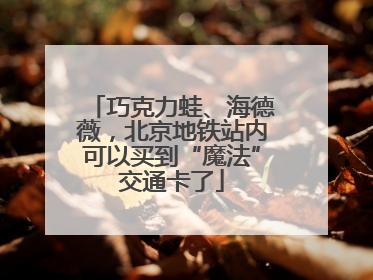 巧克力蛙、海德薇，北京地铁站内可以买到“魔法”交通卡了