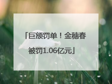 巨额罚单！金穗春被罚1.06亿元