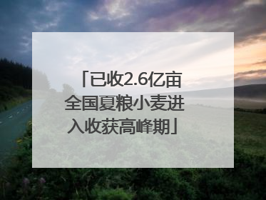 已收2.6亿亩 全国夏粮小麦进入收获高峰期