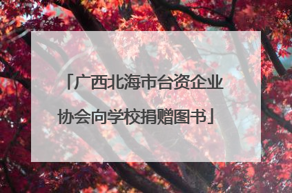 广西北海市台资企业协会向学校捐赠图书