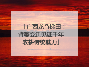 广西龙脊梯田：背篓变迁见证千年农耕传统魅力