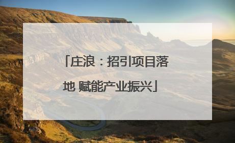 庄浪：招引项目落地 赋能产业振兴