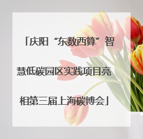 庆阳“东数西算”智慧低碳园区实践项目亮相第三届上海碳博会