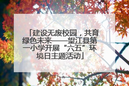 建设无废校园，共育绿色未来——望江县第一小学开展“六五”环境日主题活动