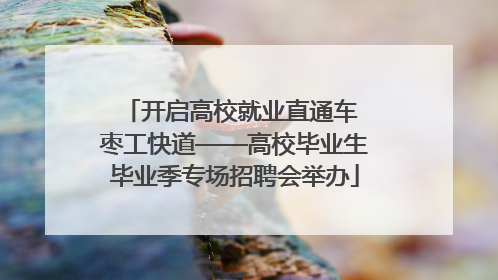 开启高校就业直通车 枣工快道——高校毕业生毕业季专场招聘会举办