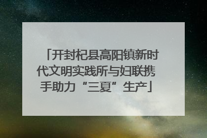 开封杞县高阳镇新时代文明实践所与妇联携手助力“三夏”生产