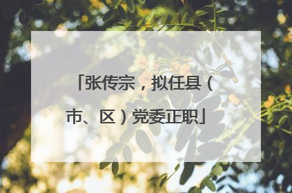 张传宗，拟任县（市、区）党委正职