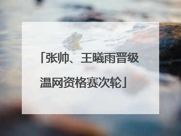 张帅、王曦雨晋级温网资格赛次轮