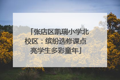 张店区凯瑞小学北校区：缤纷选修课点亮学生多彩童年