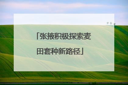 张掖积极探索麦田套种新路径
