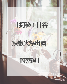 揭秘！甘谷辣椒火爆出圈的密码