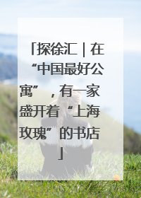 探徐汇｜在“中国最好公寓”，有一家盛开着“上海玫瑰”的书店