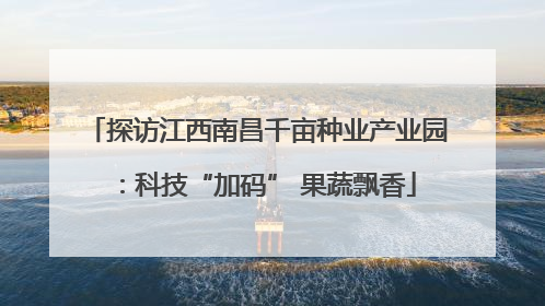 探访江西南昌千亩种业产业园：科技“加码” 果蔬飘香