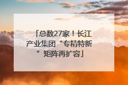 总数27家！长江产业集团“专精特新”矩阵再扩容