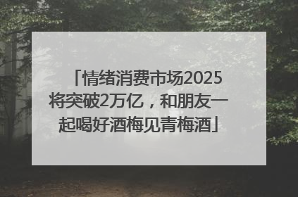 情绪消费市场2025将突破2万亿，和朋友一起喝好酒梅见青梅酒