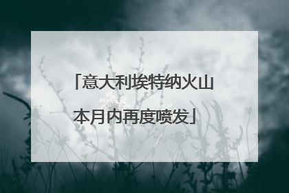 意大利埃特纳火山本月内再度喷发