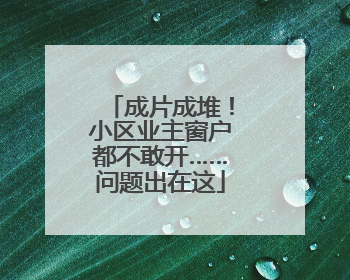 成片成堆！小区业主窗户都不敢开……问题出在这