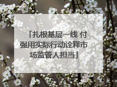 扎根基层一线 付强用实际行动诠释市场监管人担当