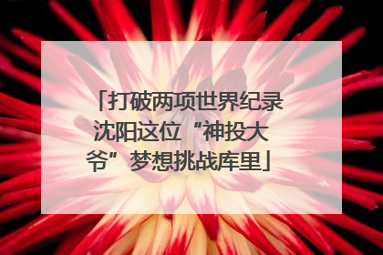 打破两项世界纪录 沈阳这位“神投大爷”梦想挑战库里