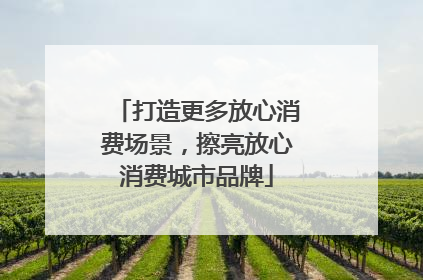 打造更多放心消费场景，擦亮放心消费城市品牌
