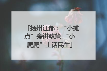 扬州江都：“小摊点”旁讲政策 “小爬爬”上话民生