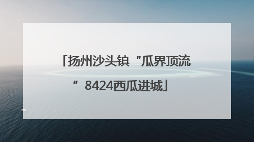 扬州沙头镇“瓜界顶流”8424西瓜进城