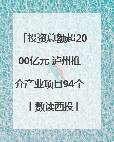 投资总额超2000亿元 泸州推介产业项目94个丨数读西投