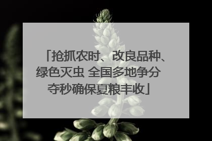 抢抓农时、改良品种、绿色灭虫 全国多地争分夺秒确保夏粮丰收