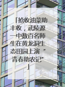 抢收油菜助丰收，武陵源一中数百名师生在黄龙洞生态田园上演“青春助农记”