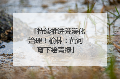 持续推进荒漠化治理！榆林：黄河弯下绘青绿