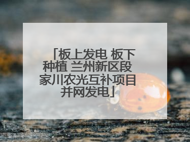 板上发电 板下种植 兰州新区段家川农光互补项目并网发电