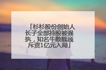 杉杉股份创始人长子全部持股被强执，知名牛散魏巍斥资1亿元入局