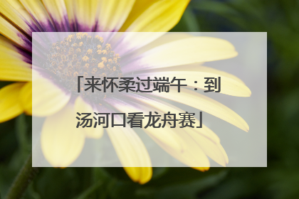 来怀柔过端午：到汤河口看龙舟赛