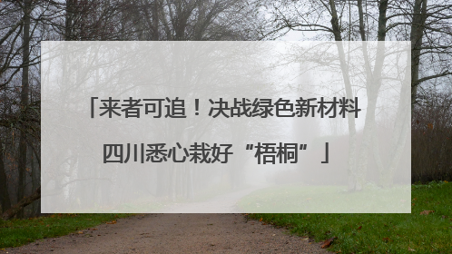 来者可追！决战绿色新材料 四川悉心栽好“梧桐”