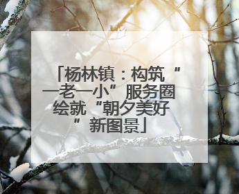 杨林镇：构筑“一老一小”服务圈 绘就“朝夕美好”新图景
