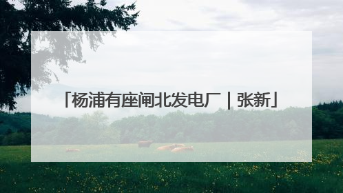 杨浦有座闸北发电厂｜张新