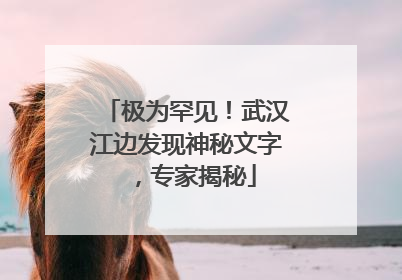 极为罕见！武汉江边发现神秘文字，专家揭秘