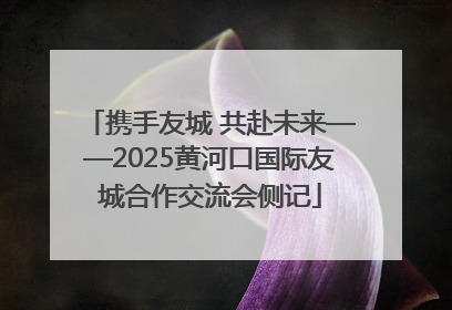 携手友城 共赴未来——2025黄河口国际友城合作交流会侧记