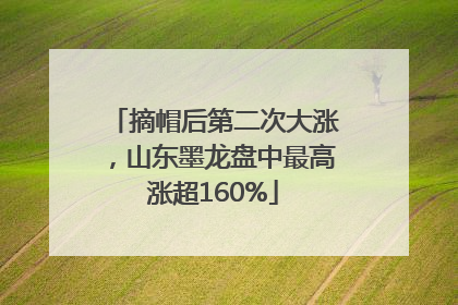 摘帽后第二次大涨，山东墨龙盘中最高涨超160%