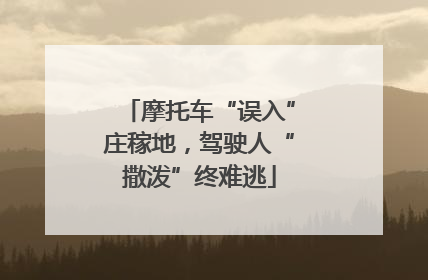 摩托车“误入”庄稼地，驾驶人“撒泼”终难逃