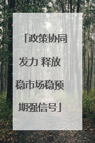 政策协同发力 释放稳市场稳预期强信号