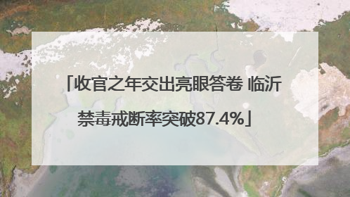 收官之年交出亮眼答卷 临沂禁毒戒断率突破87.4%