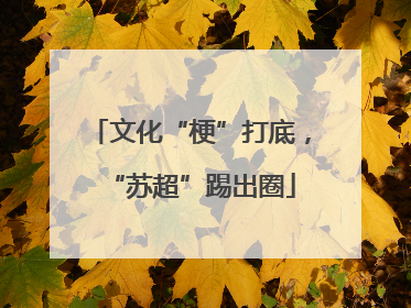 文化“梗”打底，“苏超”踢出圈