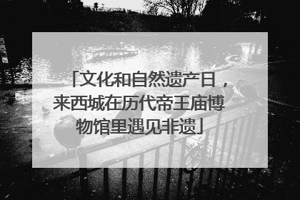 文化和自然遗产日，来西城在历代帝王庙博物馆里遇见非遗